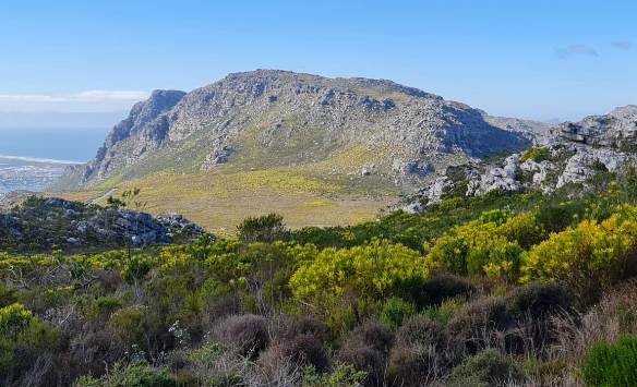 Colours of the moment